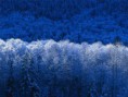 /album/galeria/inverno-jpg/